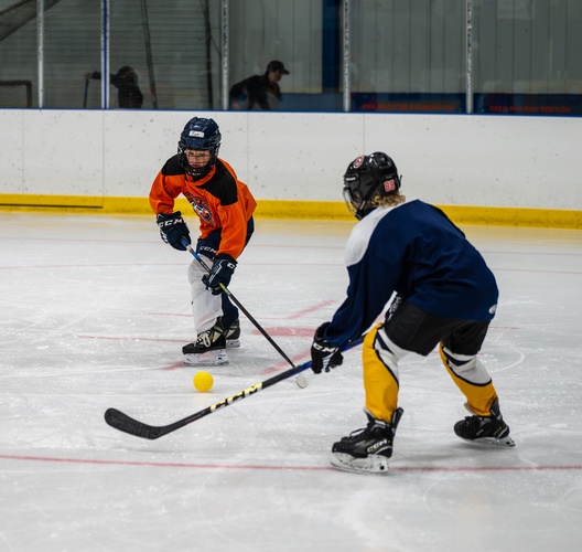 Columbia Valley Hockey School