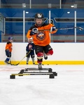 Columbia Valley Hockey School